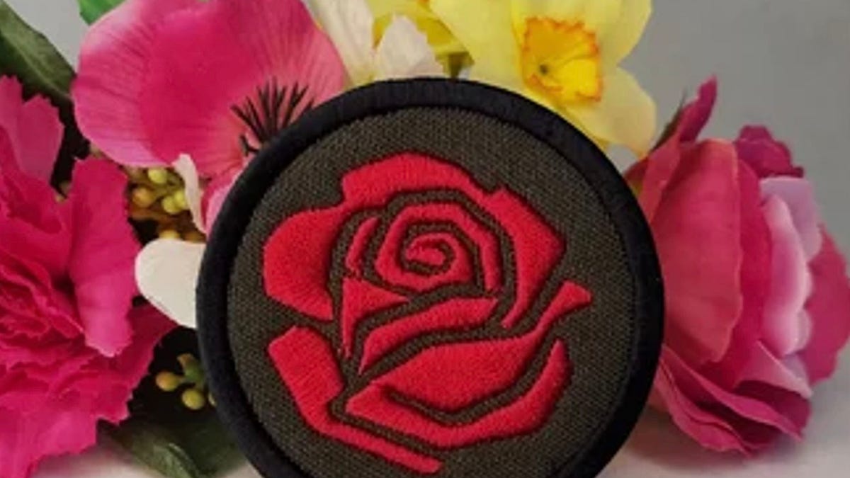 The DSA Drift: Are We Truly Surprised?