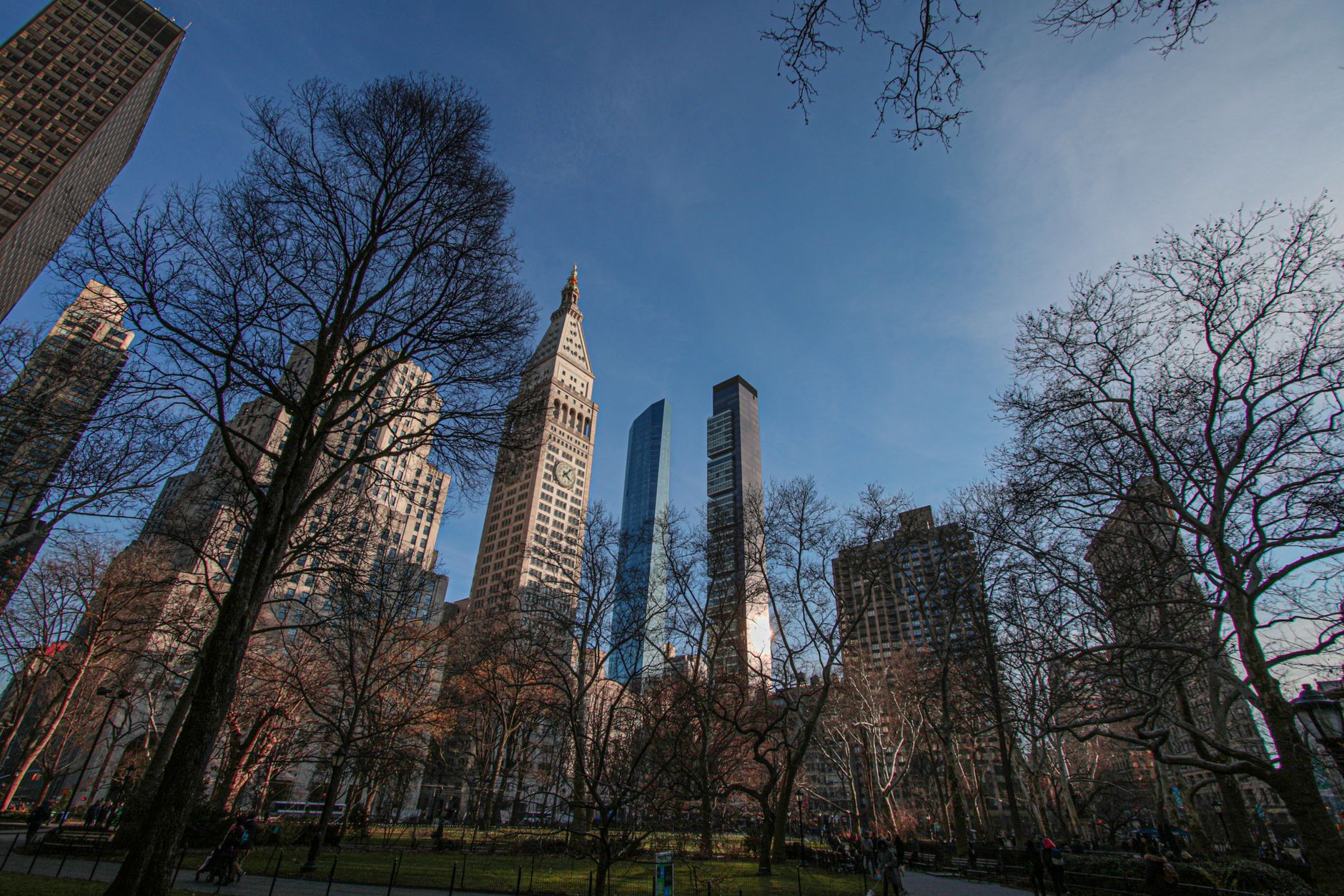 New York City skyline with skyscrapers and Central Park trees
